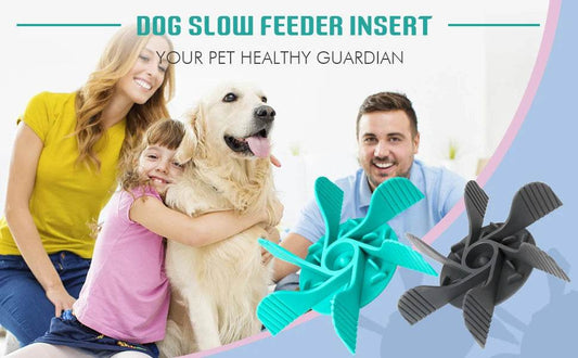 Pet Feeder Plugin Powerful Suction Cup Slow Food Anti Choking Bowl Convenient Easy Clean Extended Dogs Eating Time Pet Supplies - One-Sake.com
