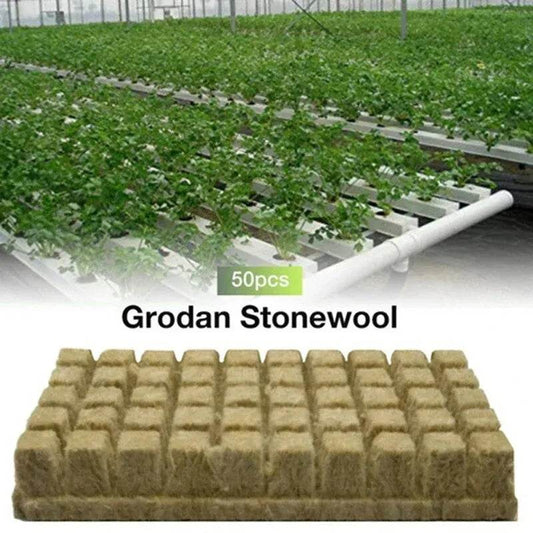 50pcs Stonewool Hydroponic Grow Cubes – 25x25x25mm Rockwool Seed Starter Plugs for Soilless Cultivation & Seedling Propagation | Free Shipping - One-Sake.com